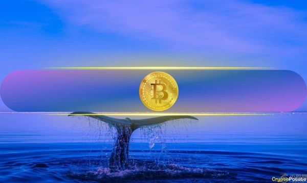 比特币巨鲸加倍押注，持有 3.93 亿美元多头仓位