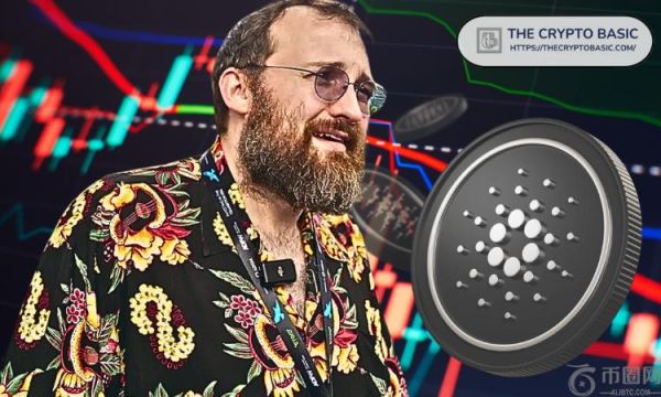 查尔斯·霍斯金森 (Charles Hoskinson) 回应猜测午夜空投不适合 Cardano 原生代币持有者
