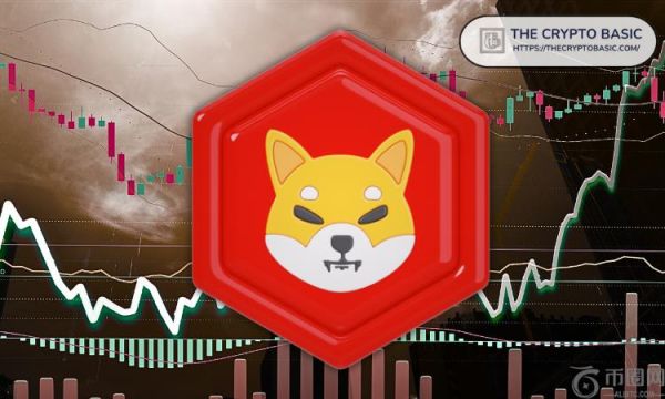 以下是柴犬团队为 SHIB 生态系统所做的贡献