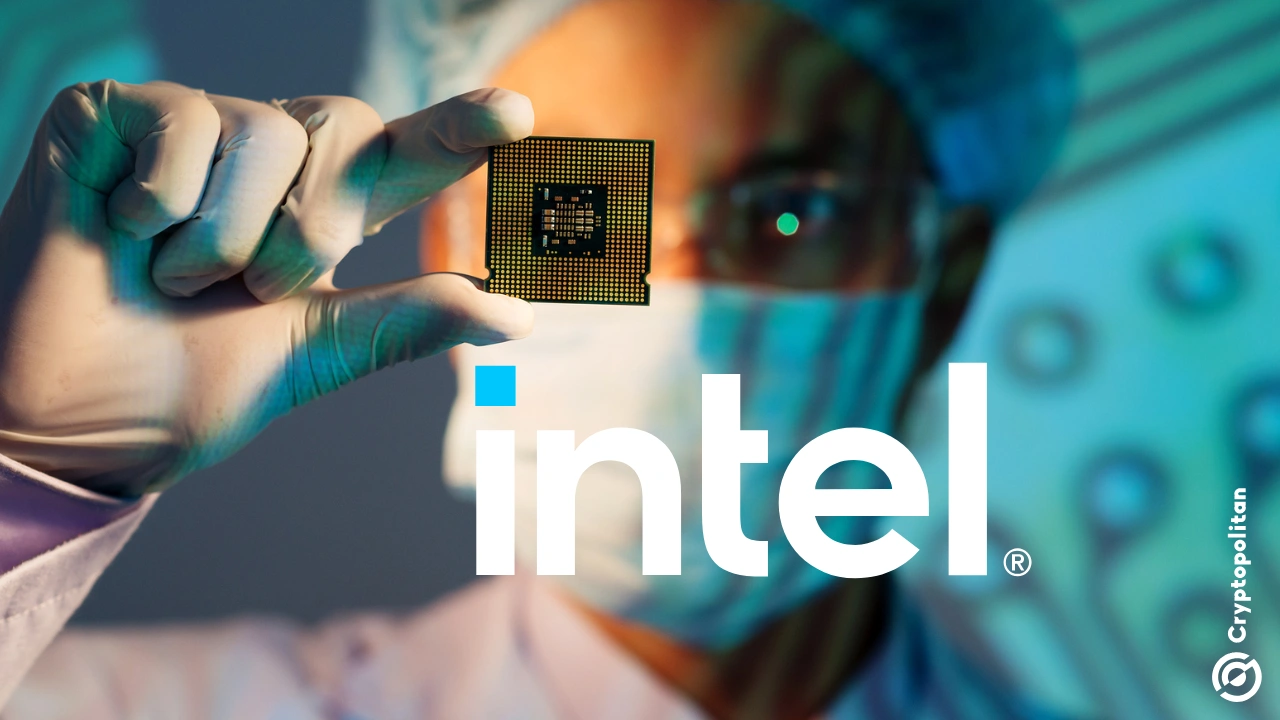 英特尔推出用于工作站系统的 AI GPU，力争超越 Nvidia