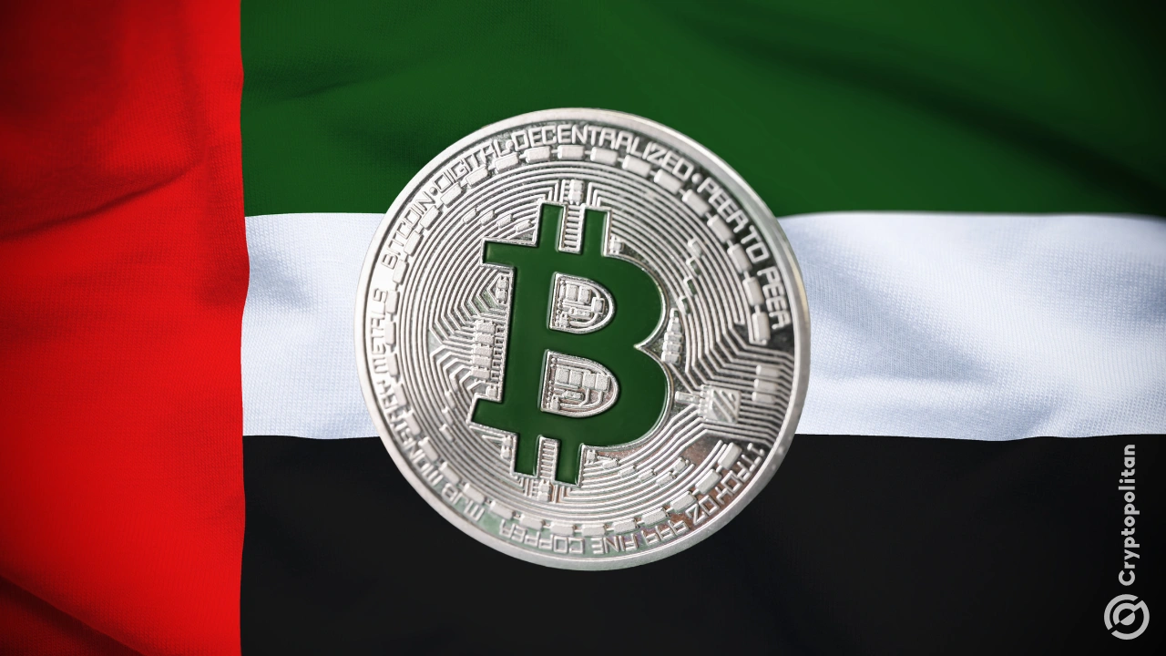 Bitcoin Suisse 获得阿联酋批准，大力进军中东加密货币市场