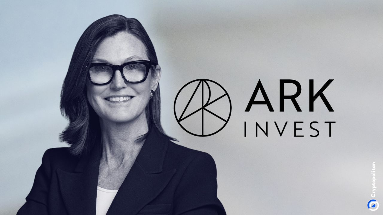 Cathie Wood 表示，随着钱包数量的飙升，加密货币 ETF 将大放异彩