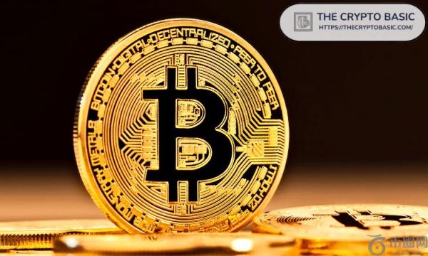 专家称比特币难以理解，更难持有——但它注定会永远上涨