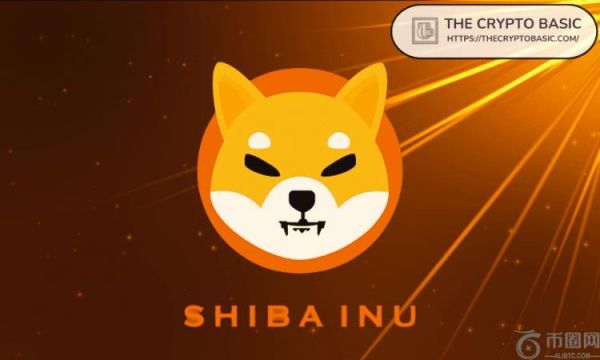 专家称，了解柴犬的人将会受益，因为 SHIB 是一项复杂的技术投资