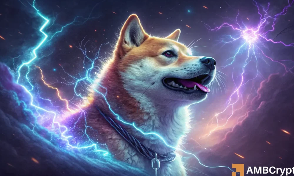 柴犬未平仓合约激增 8%——价格即将变动吗？