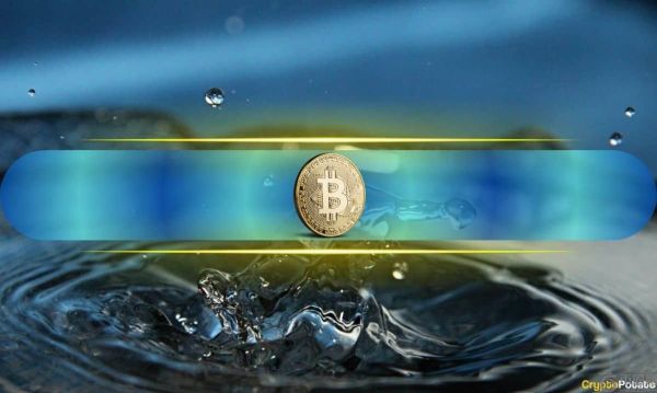 比特币（BTC）受益于看涨押注，而山寨币则惩罚乐观主义者