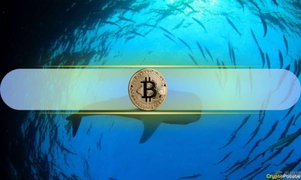 加密货币巨头 Wynn 押注 10 亿美元购买 BTC，因价格下跌被清算，损失 1.18 亿美元