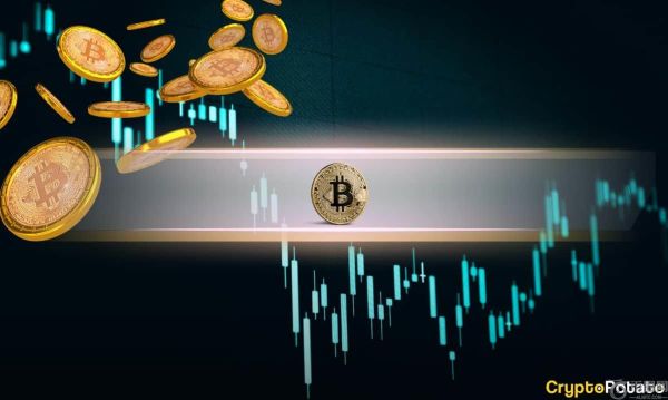 比特币进入兴奋阶段：链上数据预示未来波动性将达到 12 万美元