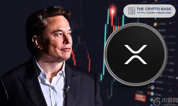 TRIBLU 创始人表示，埃隆·马斯克“愿意尽一切努力”让 XRP 成为被选中的那个