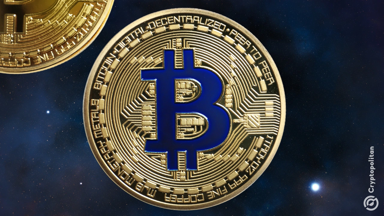 BTC 鲸鱼现在又回到了增持模式，从分配模式转向
