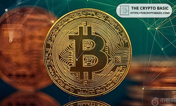 比特币网络增长在价格停滞的情况下却大幅增长的原因