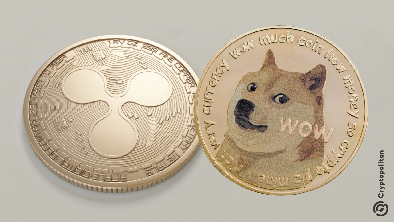 Coinbase 在 Base 上推出其包装的 XRP 和 Dogecoin