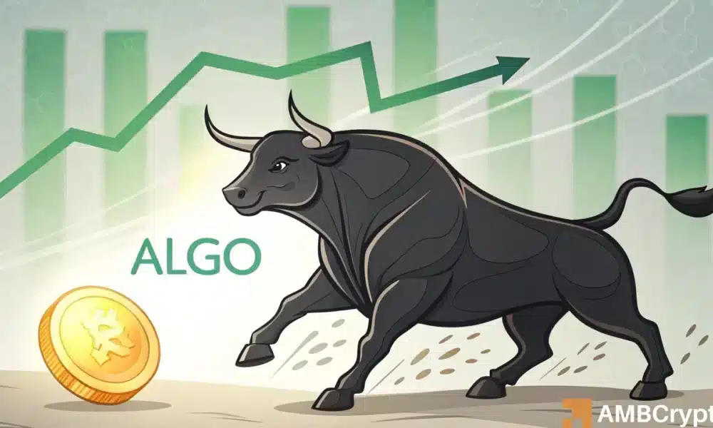 Algorand 暴涨 33%！但为何交易员们仍继续做空 ALGO？