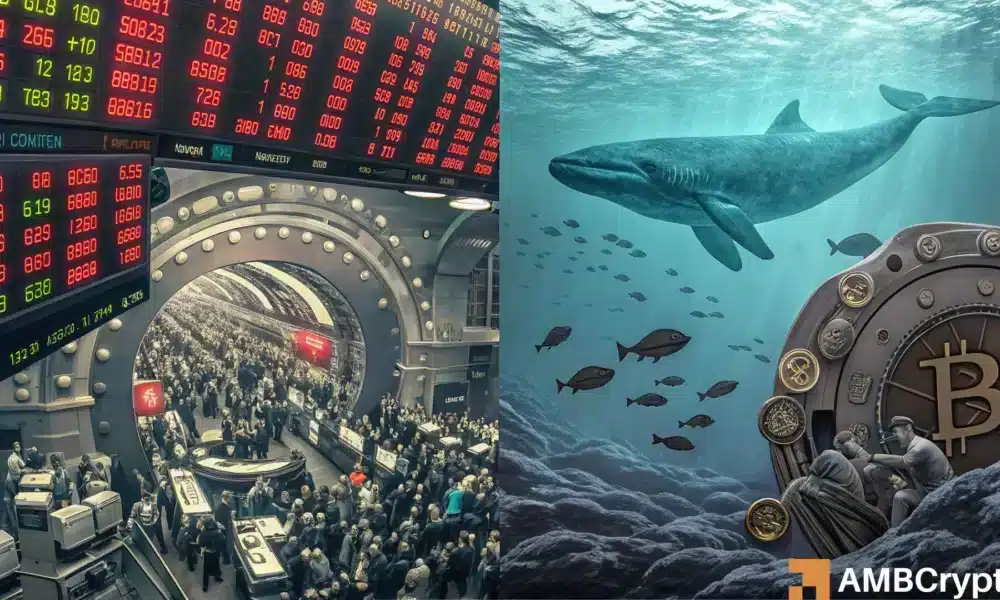比特币：散户涌入，但你需要关注的是鲸鱼的沉默