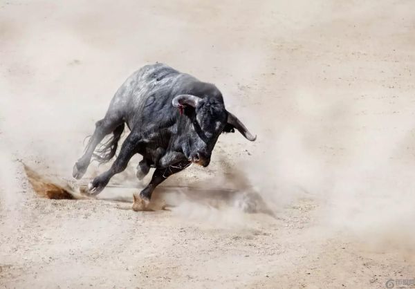 XRP 势头强劲，分析师称其为最值得购买的加密货币