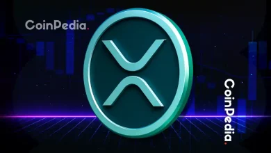 Ripple 新闻：David Schwartz 加入 Evernorth 担任顾问，推动 XRP 价值 10 亿美元发展