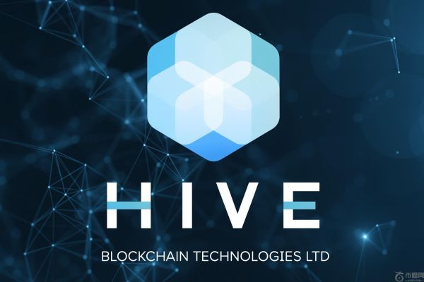 Hive Digital 执行主席 Frank Holmes 表示比特币是保护人权的工具